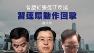谢天奇：曾庆红张德江反扑 习连环回击 官媒发警告