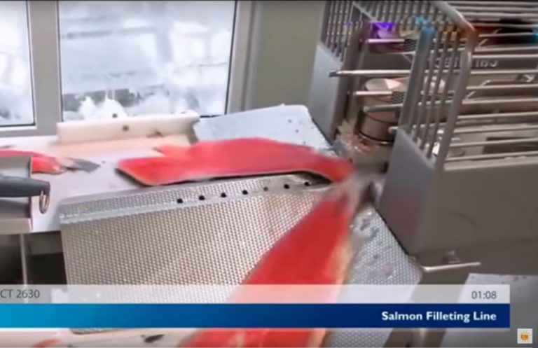 真開眼！德國全自動殺魚切肉機，真的太厲害啦！