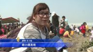 云林斗南马铃薯节　近千人挖薯同乐