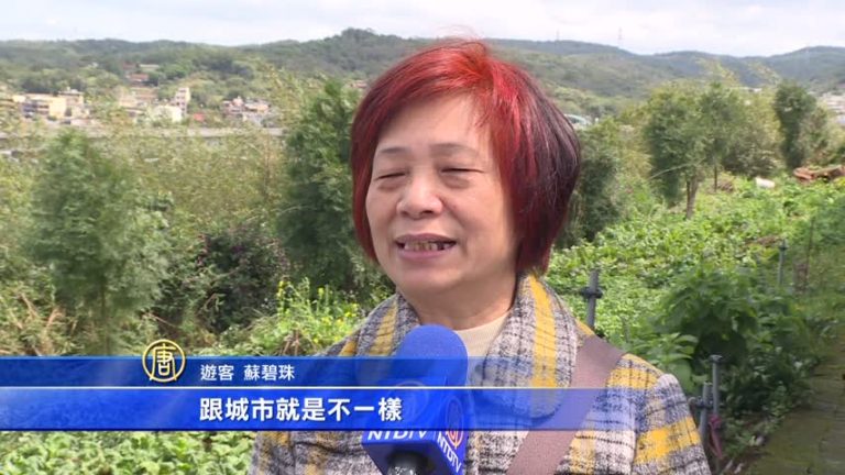 桃機輕旅行 A10站賞古蹟秘境農場悠哉行