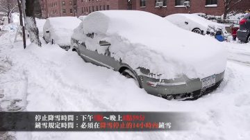 风暴过后自扫门前雪 否则面临罚款