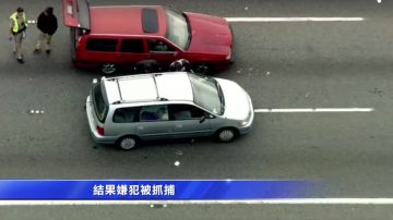 高速公路枪击案多为帮派目标 民众不必惊慌