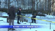 中央公园又一人落水 湖上薄冰成杀手？