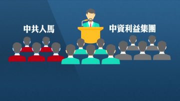 香港特首怎麼選？圖解選舉