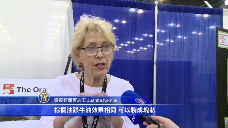 棕櫚油市需大增 猩猩卻因此活受罪