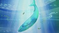 ROM春假海洋活動