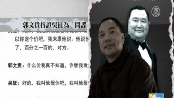 杨澜丈夫吴征卷入马建案 被曝是中共职业间谍