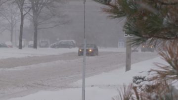 大多伦多部分地区发暴雪警告 最高达30厘米降雪