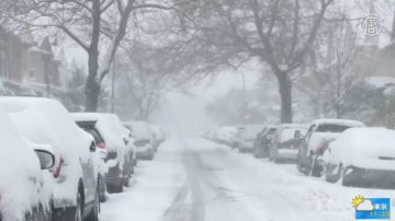 暴风雪来袭！民众囤菜 纽约降雪或达24英吋