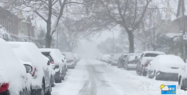 暴風雪來襲！民眾囤菜 紐約降雪或達24英吋