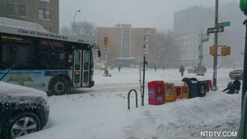 大纽约地区暴风雪信息（即时更新）