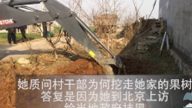 安徽农民两会上访归来  六十棵果树被挖走