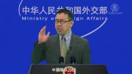 小品：外交部大實話