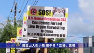 舊金山大街小巷  揭中共「活摘」真相