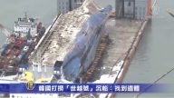 韩国打捞“世越号”沉船：找到遗体