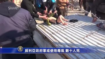 敘利亞政府軍或使用毒氣 數十人死