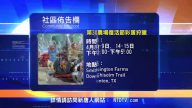 周末社区公告栏