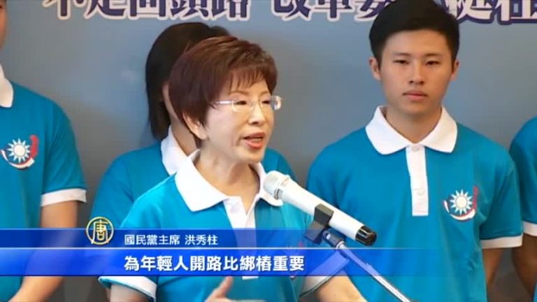 國民黨主席之爭 洪秀柱爭取連任