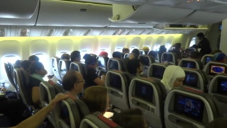 空中撞鳥 美國航空飛機迫降杜勒斯