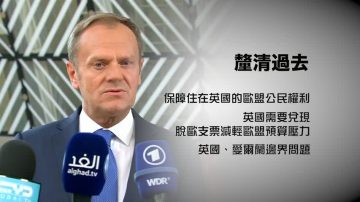 图斯克：英脱欧谈判前先解决三件事