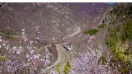拍北京“花海列车”   游客逼停火车