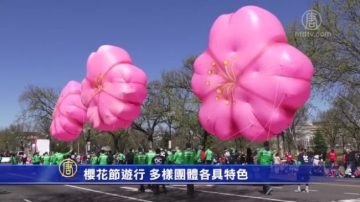 樱花节游行 多样团体各具特色