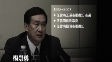 前妻举报 河北人大副主任杨崇勇被查