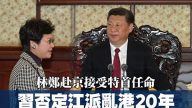习近平接见林郑讲话公开   党媒蹊跷删去一句话