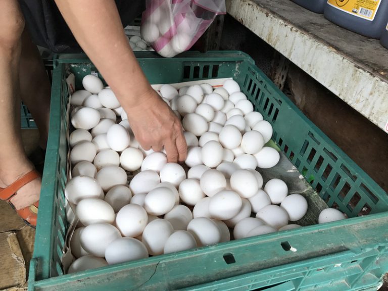 彰化3家雞蛋含戴奧辛 封存3280台斤