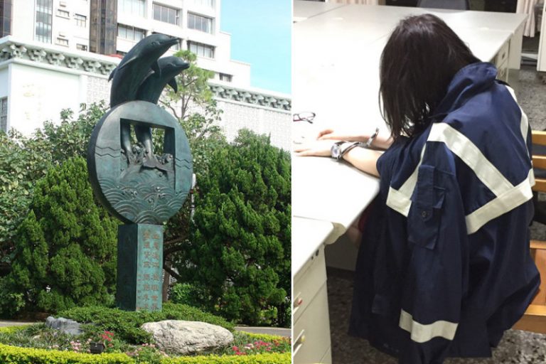 23歲女淡江大學持刀刺老翁 竟因狗追貓