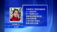 婦聯網信辦吁「爭做好網民」遭批