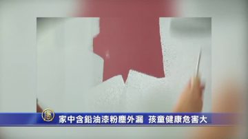 家中含铅油漆粉尘外漏  孩童健康危害大