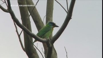 台灣國家公園 餵食野生動物須知