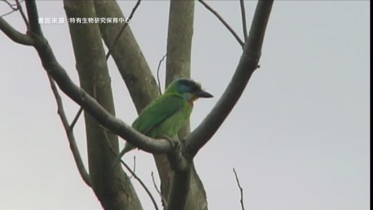 台灣國家公園 餵食野生動物須知