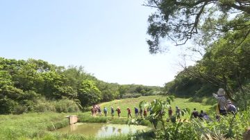 台湾桃园有机农场 展现务农新观念