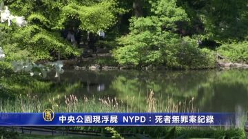 中央公園現浮屍  NYPD：死者無罪案紀錄