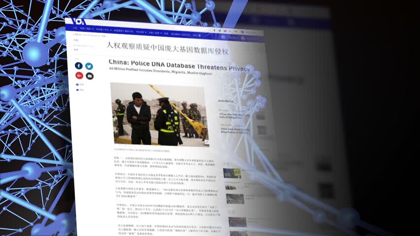 【禁闻】人权观察：中共警方建DNA数据库侵权