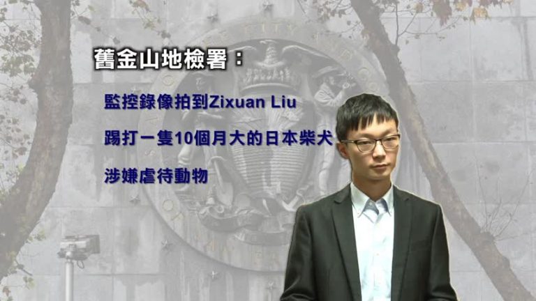 虐待寵物狗 中國留學生遭重罪起訴