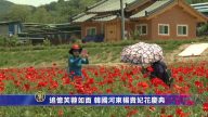 追憶芙蓉如面 韓國河東楊貴妃花慶典