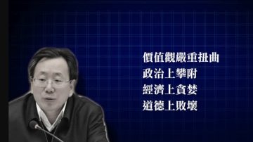 安徽前副省長陳樹隆被雙開