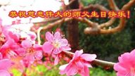 湖南法輪功學員恭賀世界法輪大法日暨李洪志大師華誕
