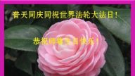 內蒙古法輪功學員恭賀世界法輪大法日暨李洪志大師華誕