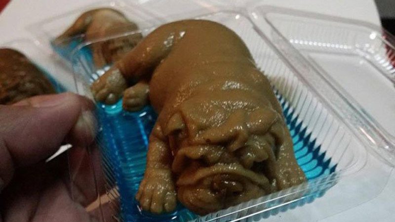 泰国热销“迷你狗” 网友惊呼：你竟敢吃！