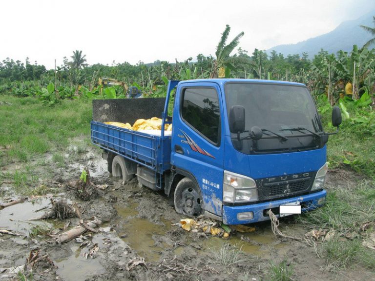 偷6串香蕉車陷爛泥 偷蕉男遭園主活活打死