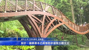 学生建造台湾最长木桥 兼顾景观与生态