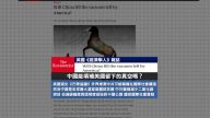 6月8日全球看中国