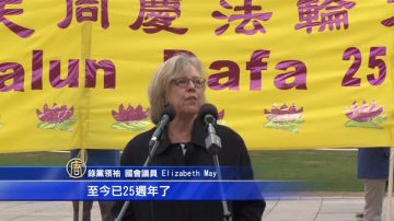 加绿党领袖：赞誉法轮大法 呼吁中共释放孙茜