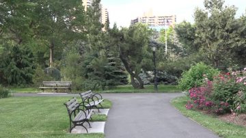 法拉盛植物園繁花似錦 夏日避暑好去處