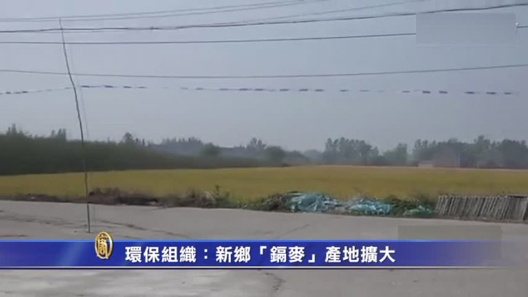 【禁聞】環保組織：新鄉「鎘麥」產地擴大
