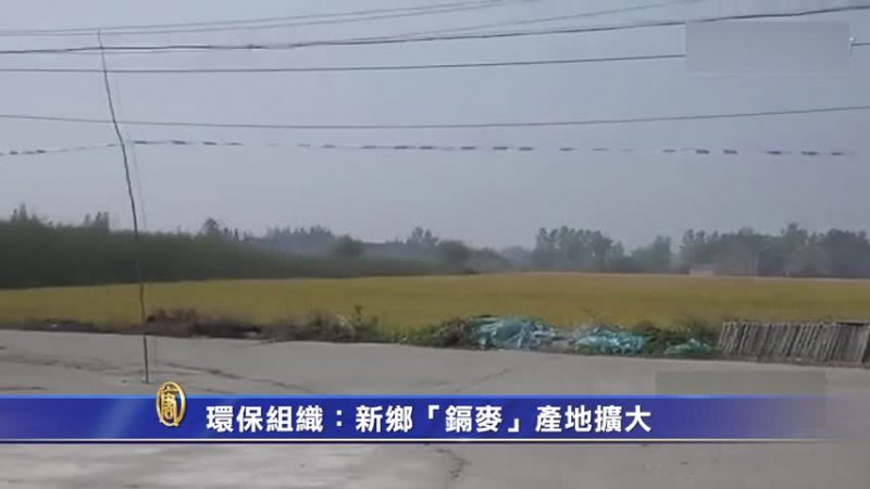 【禁闻】环保组织：新乡“镉麦”产地扩大